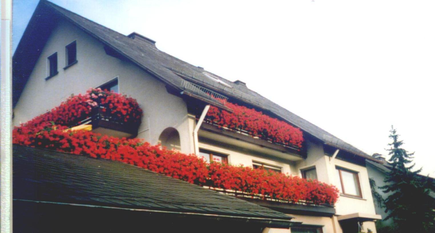 Hotel Haus Hubertus Winterberg Exterior foto